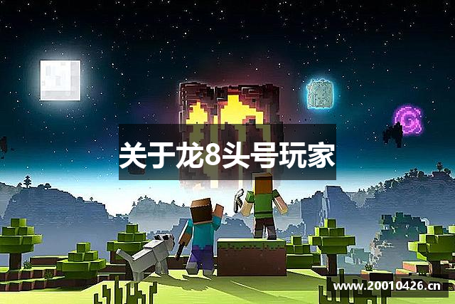 关于龙8头号玩家